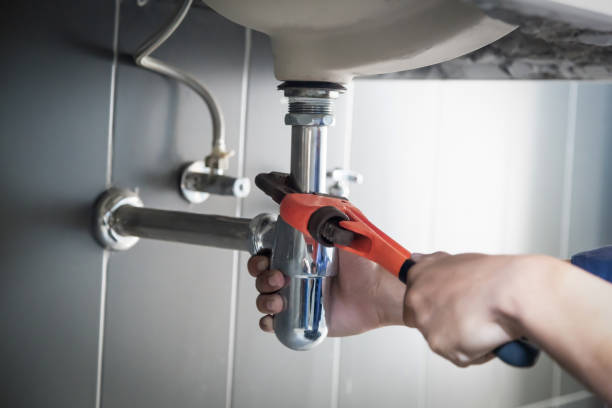 Best Commercial Plumbing Services  in Fort Thompson, SD